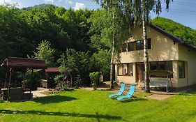 Casa Doi Mesteceni